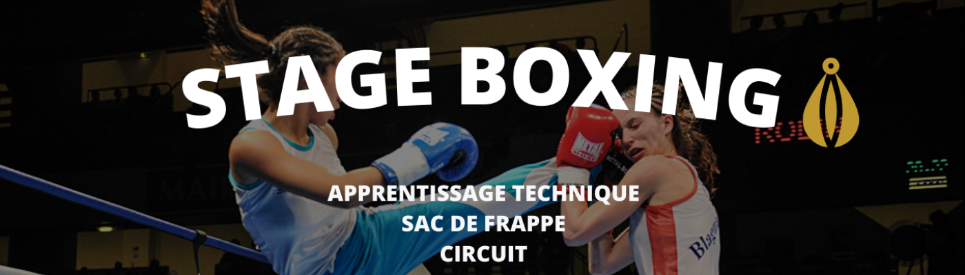 Image d'illustration de la page STAGE BOXING 